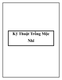 Kỹ Thuật Trồng Mộc Nhĩ