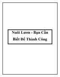 Nuôi Lươn - Bạn Cần Biết Để Thành Công