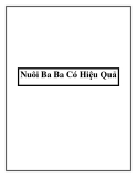 Nuôi Ba Ba Có Hiệu Quả