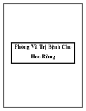 Phòng Và Trị Bệnh Cho Heo Rừng