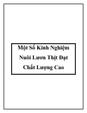 Một Số Kinh Nghiệm Nuôi Lươn Thịt Đạt Chất Lượng Cao