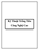 Các kỹ Thuật Trồng Tiêu Công Nghệ Cao