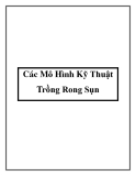 Các Mô Hình Kỹ Thuật Trồng Rong Sụn