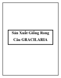 Sản Xuất Giống Rong Câu GRACILARIA