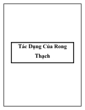 Tác Dụng Của Rong Thạch