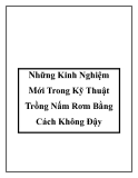 Những Kinh Nghiệm Mới Trong Kỹ Thuật Trồng Nấm Rơm Bằng Cách Không Đậy