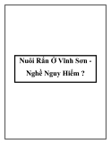 Nuôi Rắn Ở Vĩnh Sơn Nghề Nguy Hiểm ?