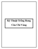 Kỹ Thuật Trồng Rong Câu Chỉ Vàng