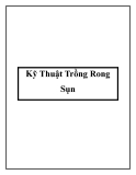 Các kỹ Thuật Trồng Rong Sụn