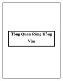 Tổng Quan Rông Hồng Vân