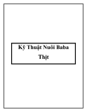 Kỹ Thuật Nuôi Baba Thịt