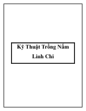 Các kỹ Thuật Trồng Nấm Linh Chi