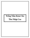 Trồng Nấm Rơm Cho Thu Nhập Cao