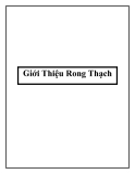 Giới Thiệu Rong Thạch