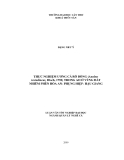 LUẬN VĂN: THỰC NGHIỆM ƯƠNG CÁ RÔ ĐỒNG (Anabas testudineus, Bloch, 1792) TRONG AO Ở VÙNG ĐẤT NHIỄM PHÈN HÒA AN- PHỤNG HIỆP- HẬU GIANG