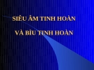 SIÊU ÂM TINH HOÀN VÀ BÌU TINH HOÀN 