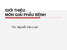 Bài giảng  môn giải phẫu bệnh - Ths.Nguyễn Văn Luân