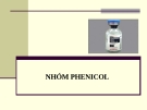 Bài giảng Dược lý chuyên đề -  Nhóm Phenicol