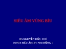 SIÊU ÂM VÙNG BÌU