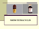 Bài giảng Dược lý chuyên đề - Nhóm Tetracyclin