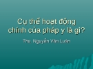 Cụ thể hoạt động chính của pháp y là gì?