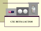 Bài giảng Dược lý chuyên đề: Các Beta-Lactam