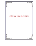 CÁC BÀI HỌC ĐAN XEN.