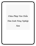 Chùa Pháp Vân Chốn Tâm Linh Nông Nghiệp Xưa