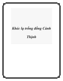 Khác lạ trống đồng Cảnh Thịnh