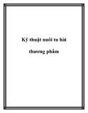 Kỹ thuật nuôi tu hài thương phẩm