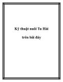 Kỹ thuật nuôi Tu Hài trên bãi đáy