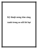 Kỹ thuật ương tôm càng xanh trong ao nổi lót bạt