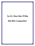 Ăn Gì, Mua Sắm Ở Đâu Khi Đến với Campuchia?