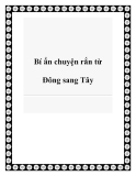 Bí ẩn chuyện rắn từ Đông sang Tây