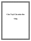 Cửu Trại Câu mùa thu vàng