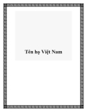 Tên họ Việt Nam