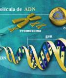 Bài tập ADN di truyền học