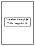 Cảm nhận thương hiệu: Thiên Long = bút bi