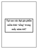 Tại sao các đại gia phần mềm khó ‘sống’ trong mấy năm tới?