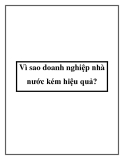 Vì sao doanh nghiệp nhà nước kém hiệu quả?