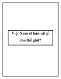 Việt Nam sẽ bán cái gì cho thế giới?