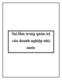 Sai lầm trong quản trị của doanh nghiệp nhà nước