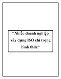 “Nhiều doanh nghiệp xây dựng ISO chỉ trọng hình thức”