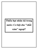 Thiếu hụt nhân tài trong nước: Cơ hội cho chất xám ngoại?