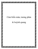 Kỹ thuật Cảm biến màu; tương phản & huỳnh quang