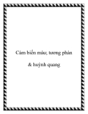 Cảm biến màu; tương phản & huỳnh quang