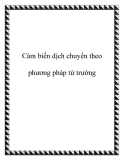 Cảm biến dịch chuyển theo phương pháp từ trường