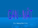 Gan mật