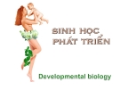 Sự phát triển sinh học