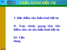 Thấu kính hội tụ